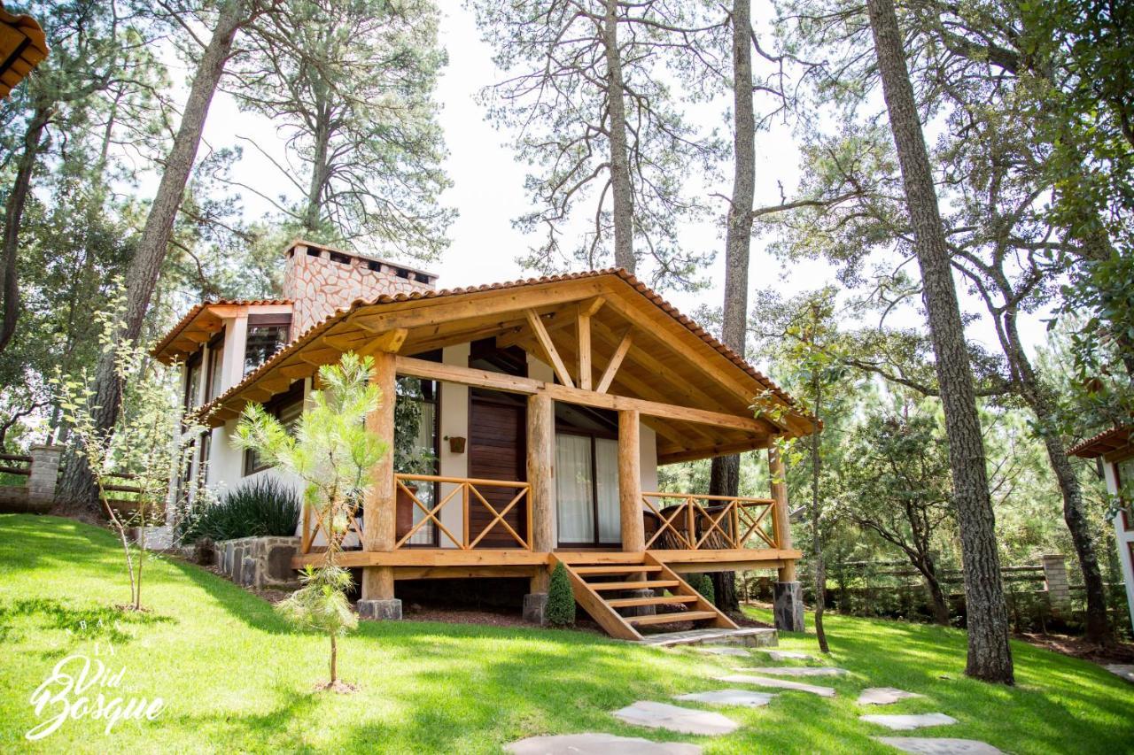 Hotel Cabanas La Vid Del Bosque Tapalpa Exteriér fotografie