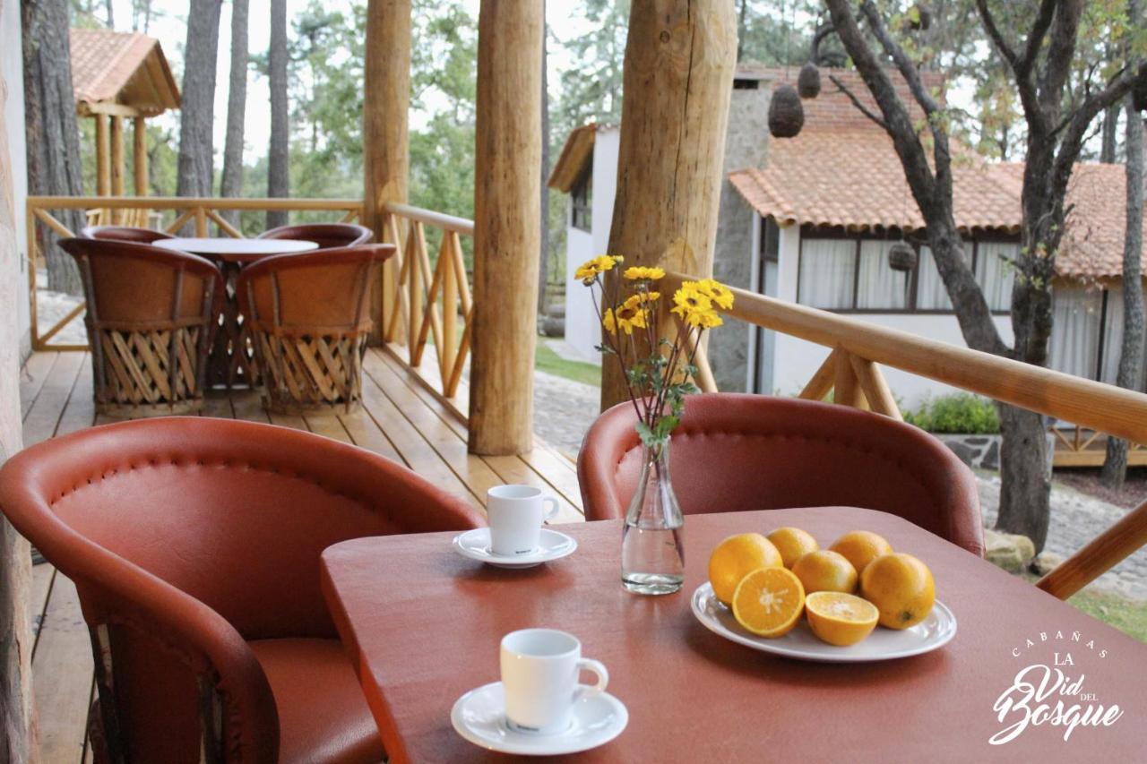 Hotel Cabanas La Vid Del Bosque Tapalpa Exteriér fotografie