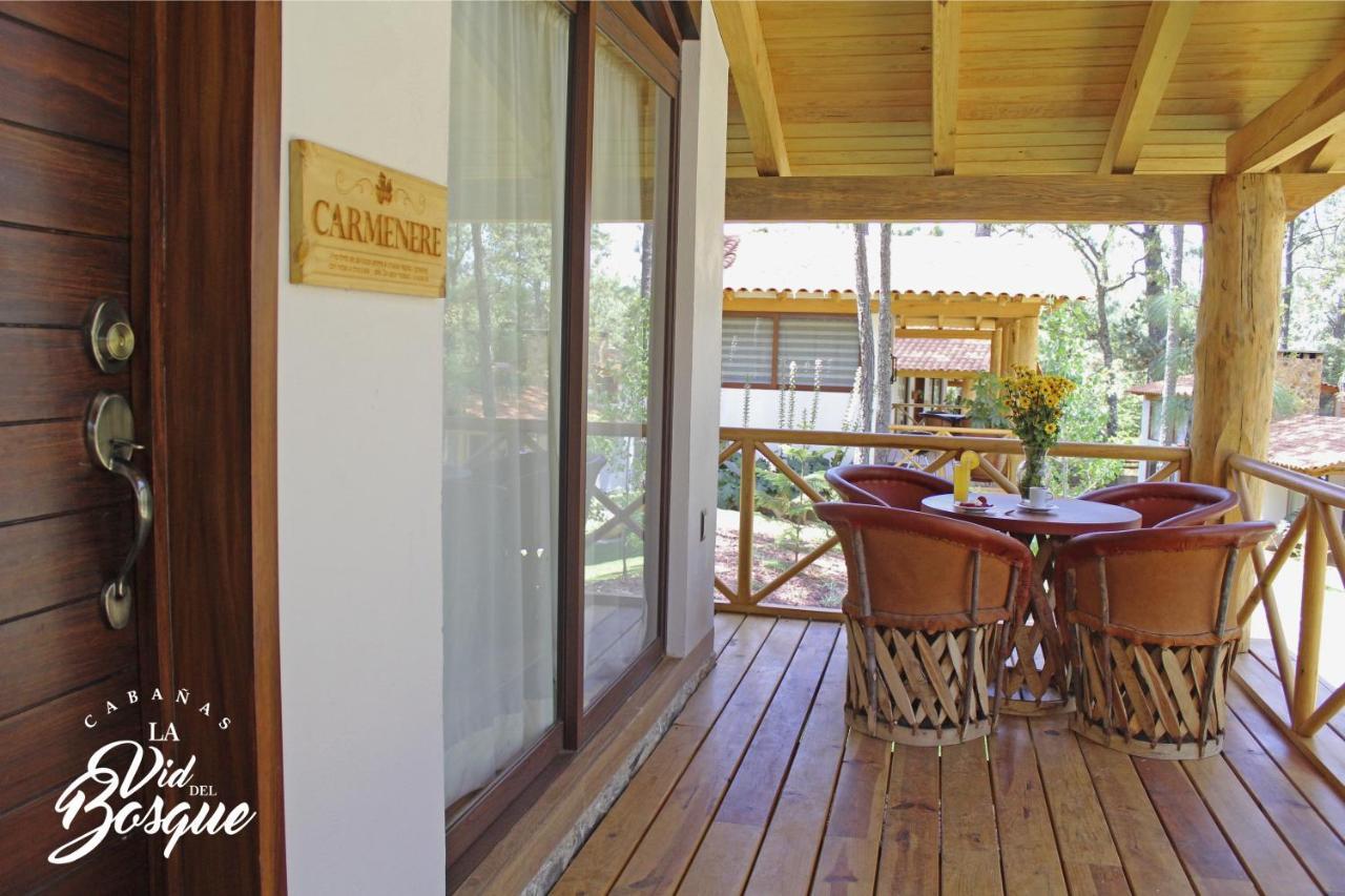 Hotel Cabanas La Vid Del Bosque Tapalpa Exteriér fotografie