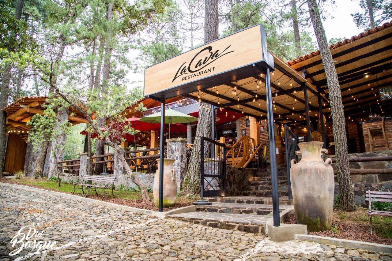 Hotel Cabanas La Vid Del Bosque Tapalpa Exteriér fotografie