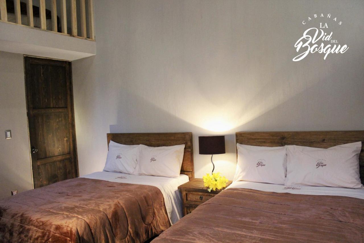 Hotel Cabanas La Vid Del Bosque Tapalpa Exteriér fotografie