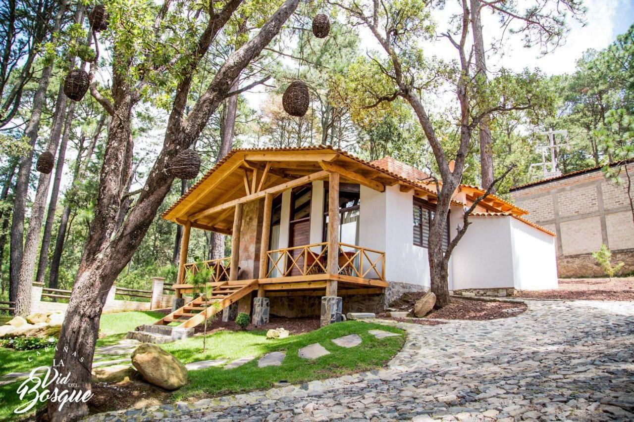 Hotel Cabanas La Vid Del Bosque Tapalpa Exteriér fotografie