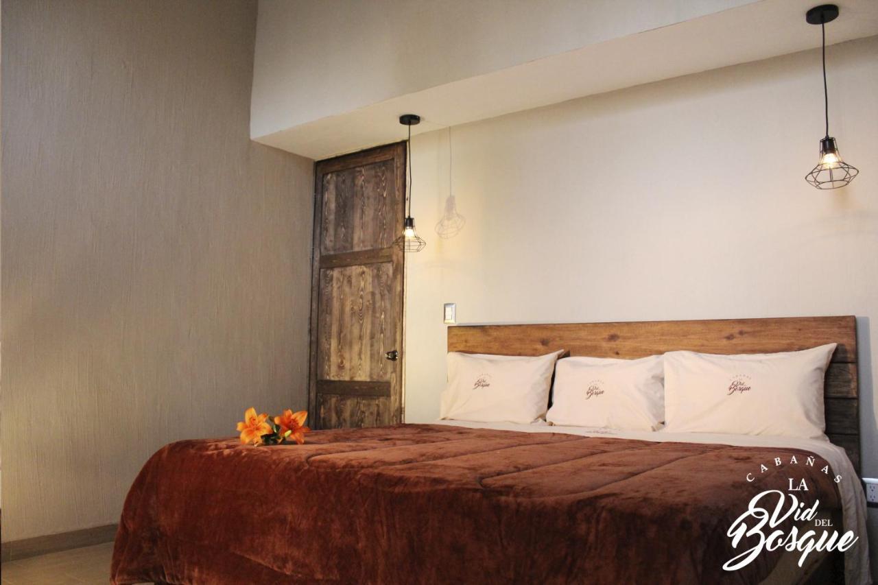 Hotel Cabanas La Vid Del Bosque Tapalpa Exteriér fotografie