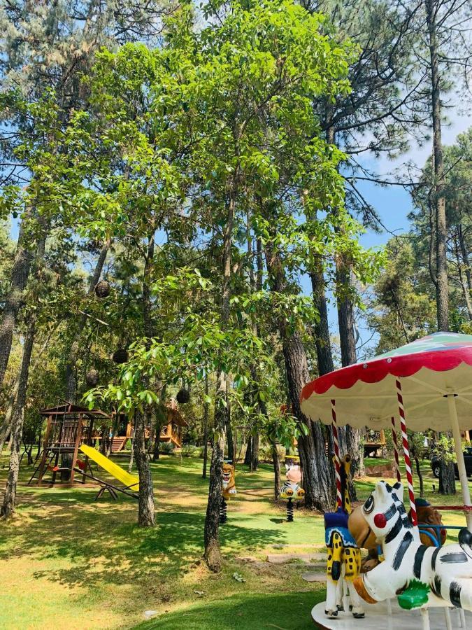 Hotel Cabanas La Vid Del Bosque Tapalpa Exteriér fotografie