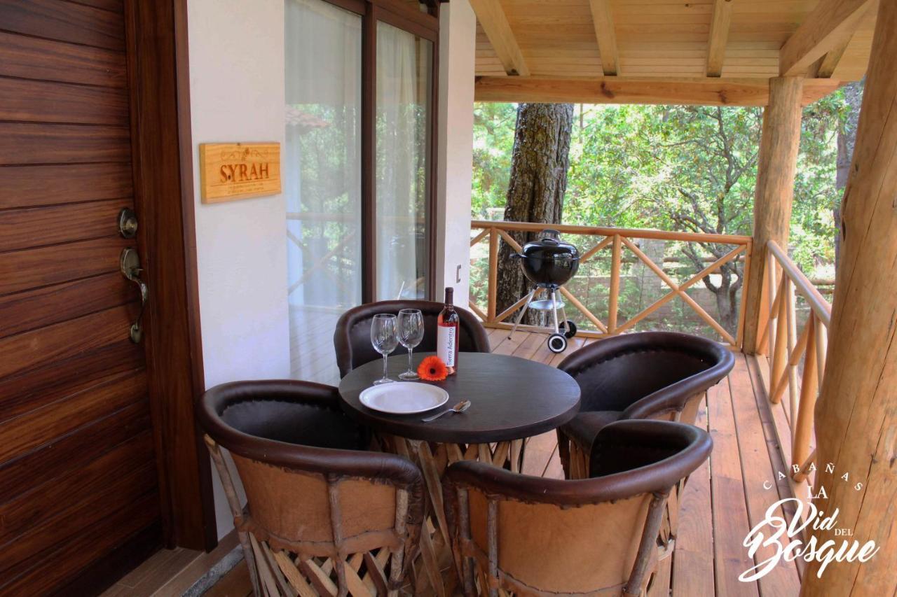 Hotel Cabanas La Vid Del Bosque Tapalpa Exteriér fotografie