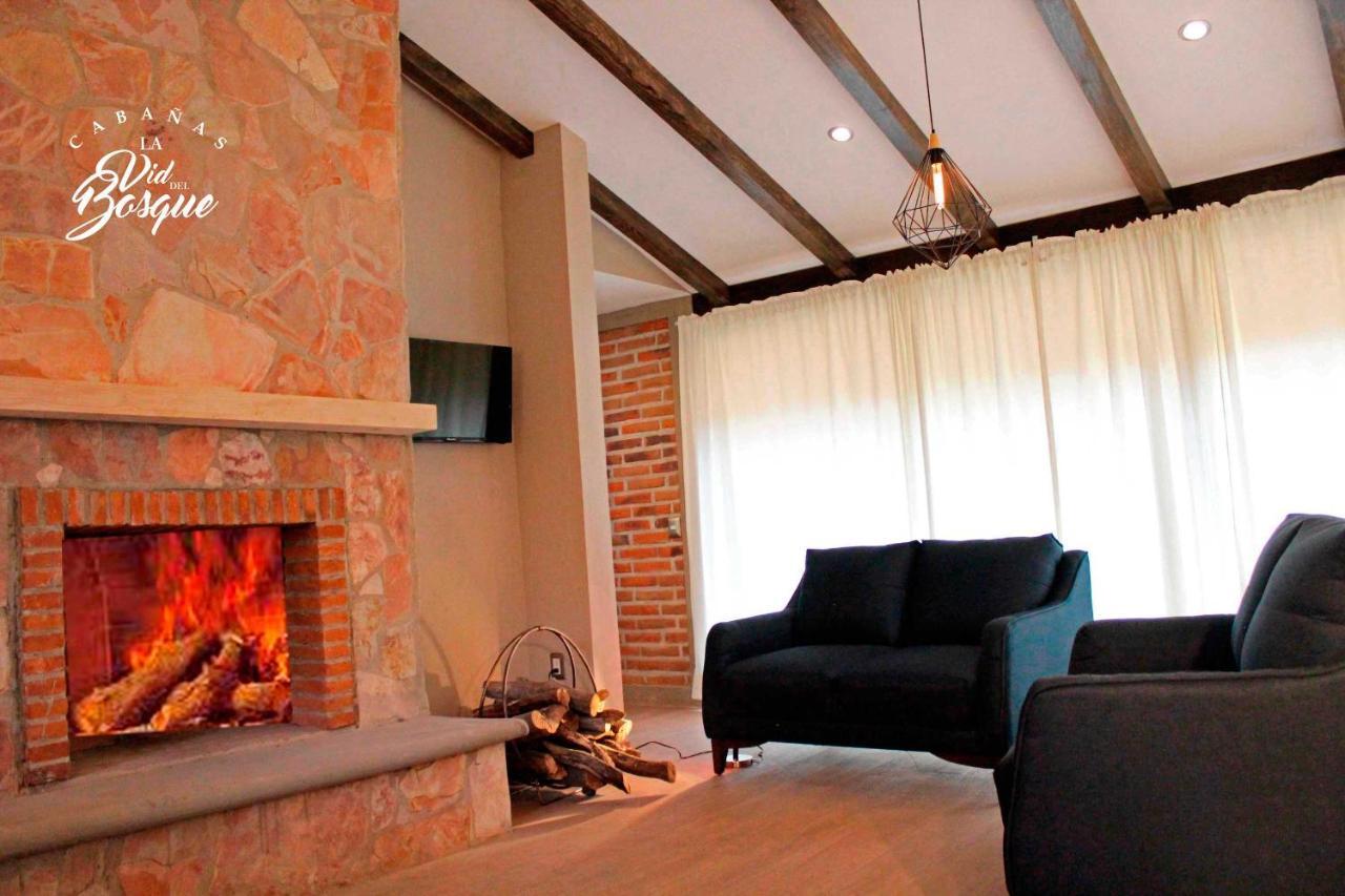 Hotel Cabanas La Vid Del Bosque Tapalpa Exteriér fotografie