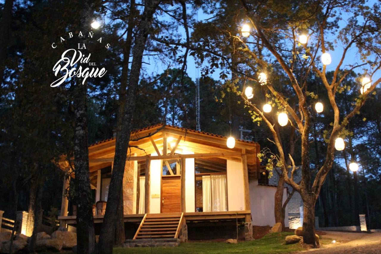 Hotel Cabanas La Vid Del Bosque Tapalpa Exteriér fotografie