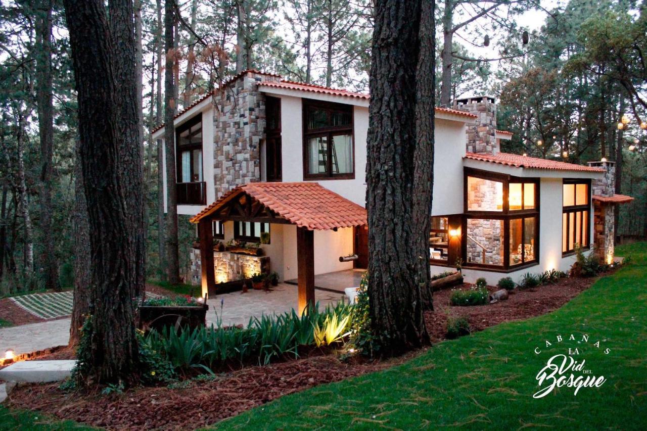 Hotel Cabanas La Vid Del Bosque Tapalpa Exteriér fotografie