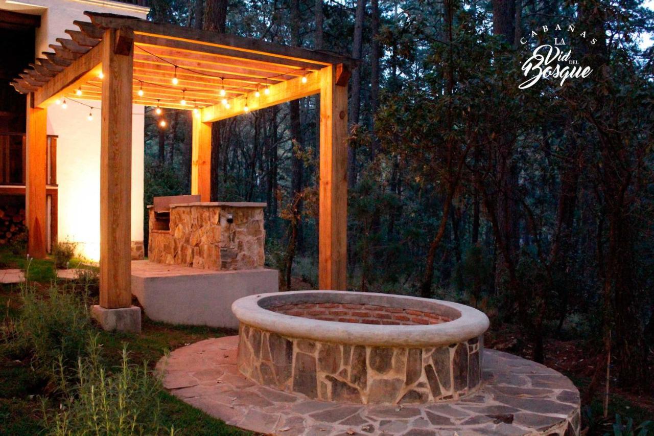 Hotel Cabanas La Vid Del Bosque Tapalpa Exteriér fotografie