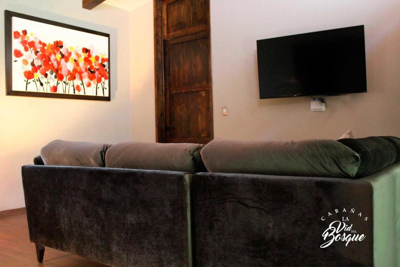 Hotel Cabanas La Vid Del Bosque Tapalpa Exteriér fotografie