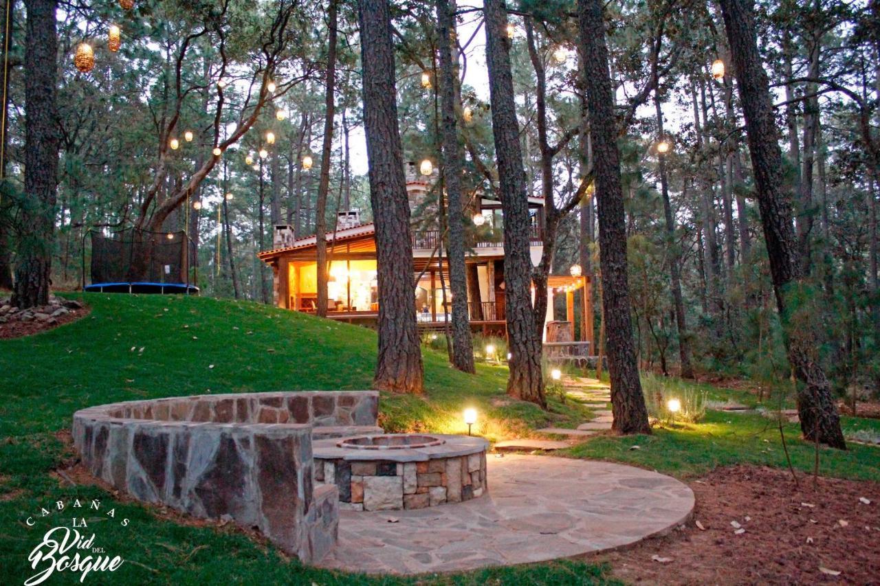 Hotel Cabanas La Vid Del Bosque Tapalpa Exteriér fotografie