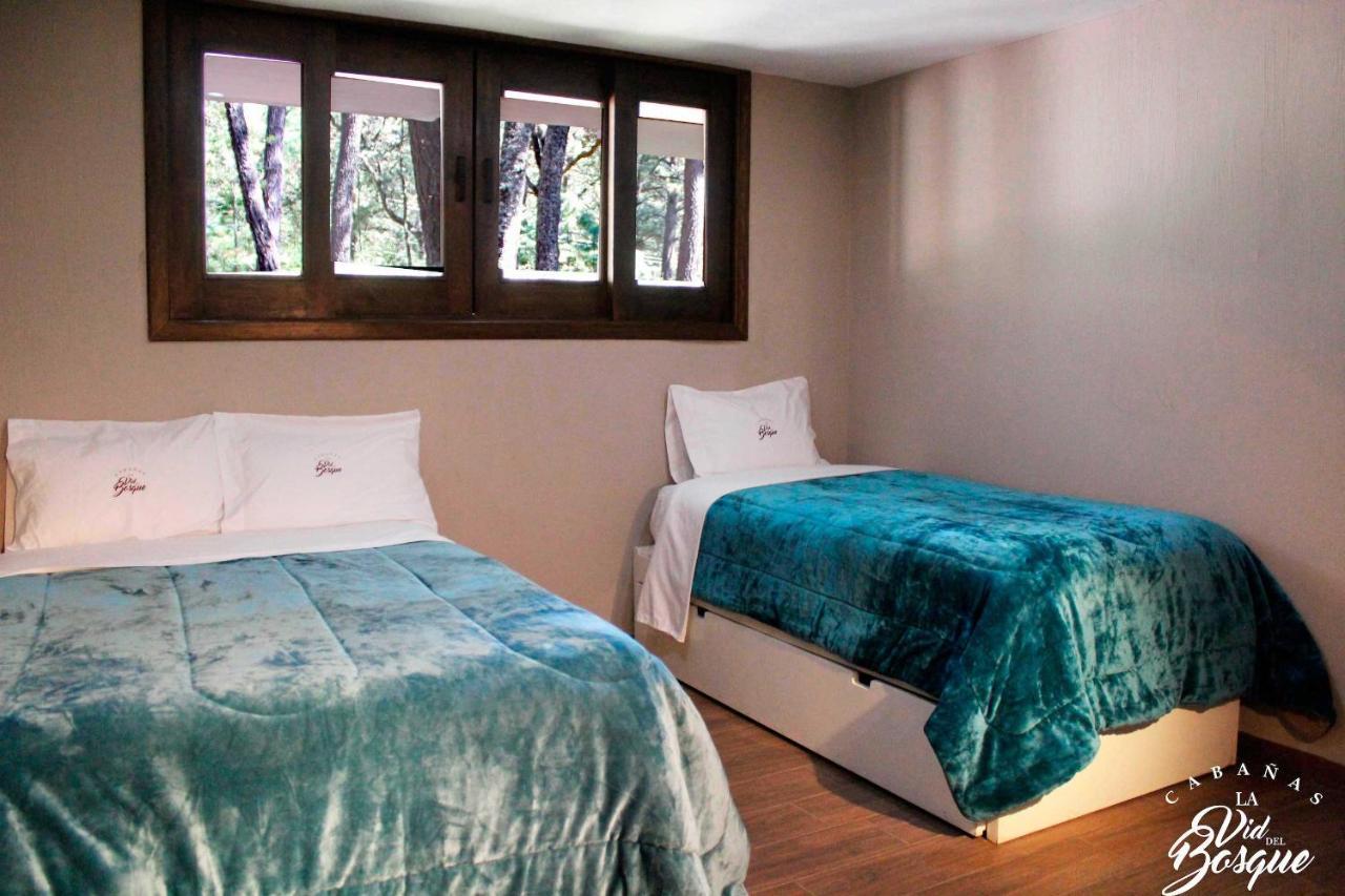 Hotel Cabanas La Vid Del Bosque Tapalpa Exteriér fotografie