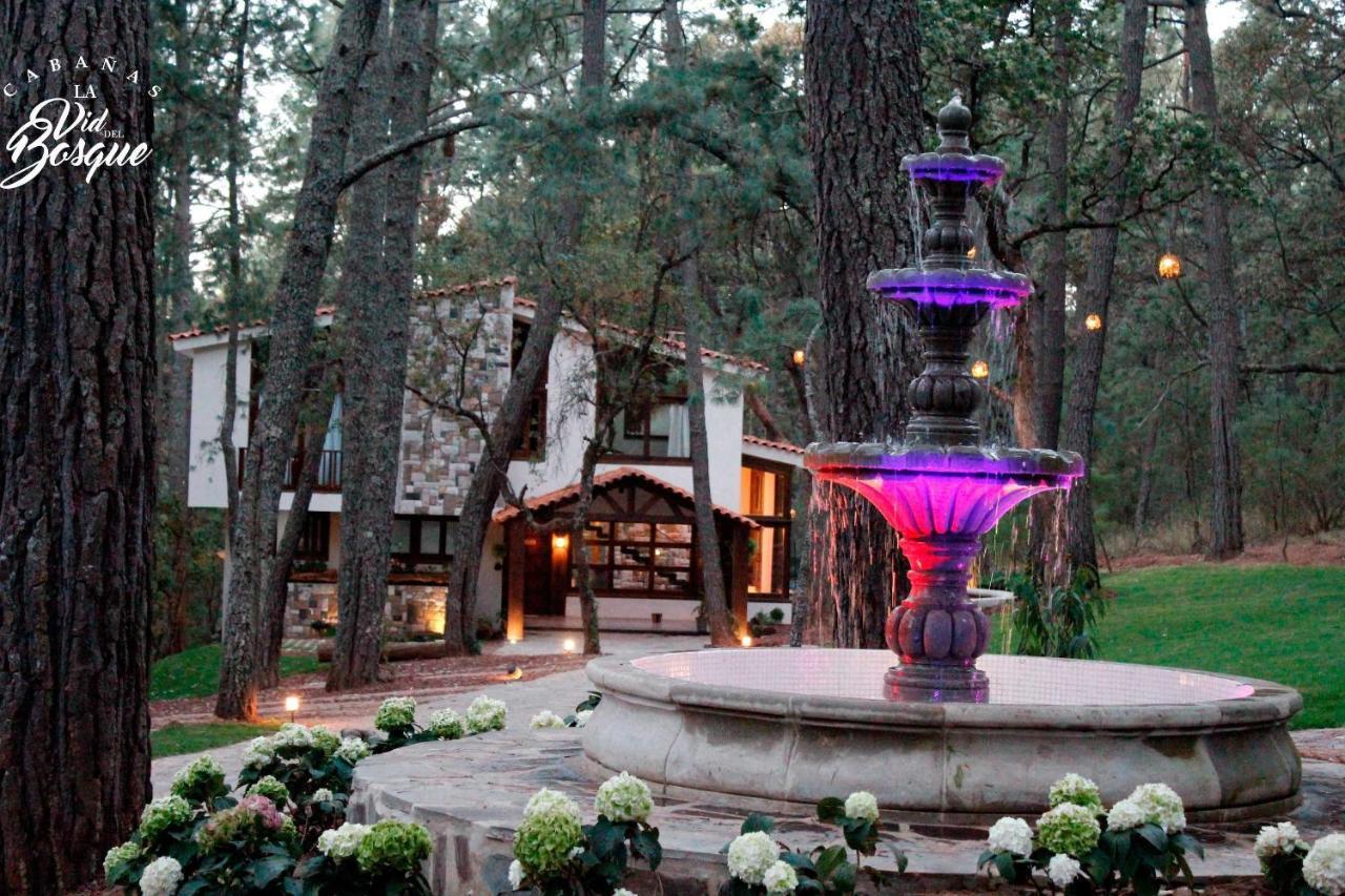 Hotel Cabanas La Vid Del Bosque Tapalpa Exteriér fotografie