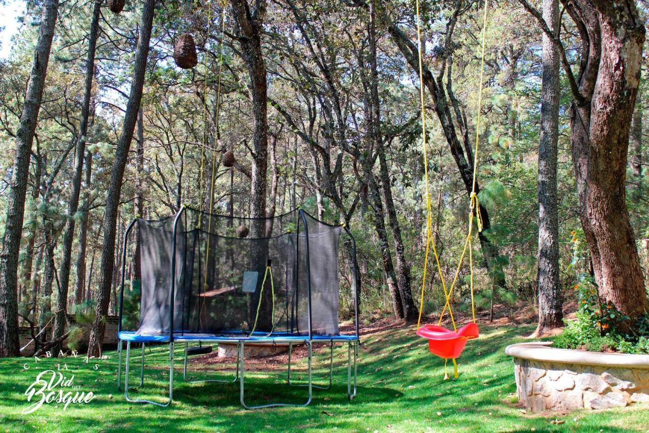 Hotel Cabanas La Vid Del Bosque Tapalpa Exteriér fotografie
