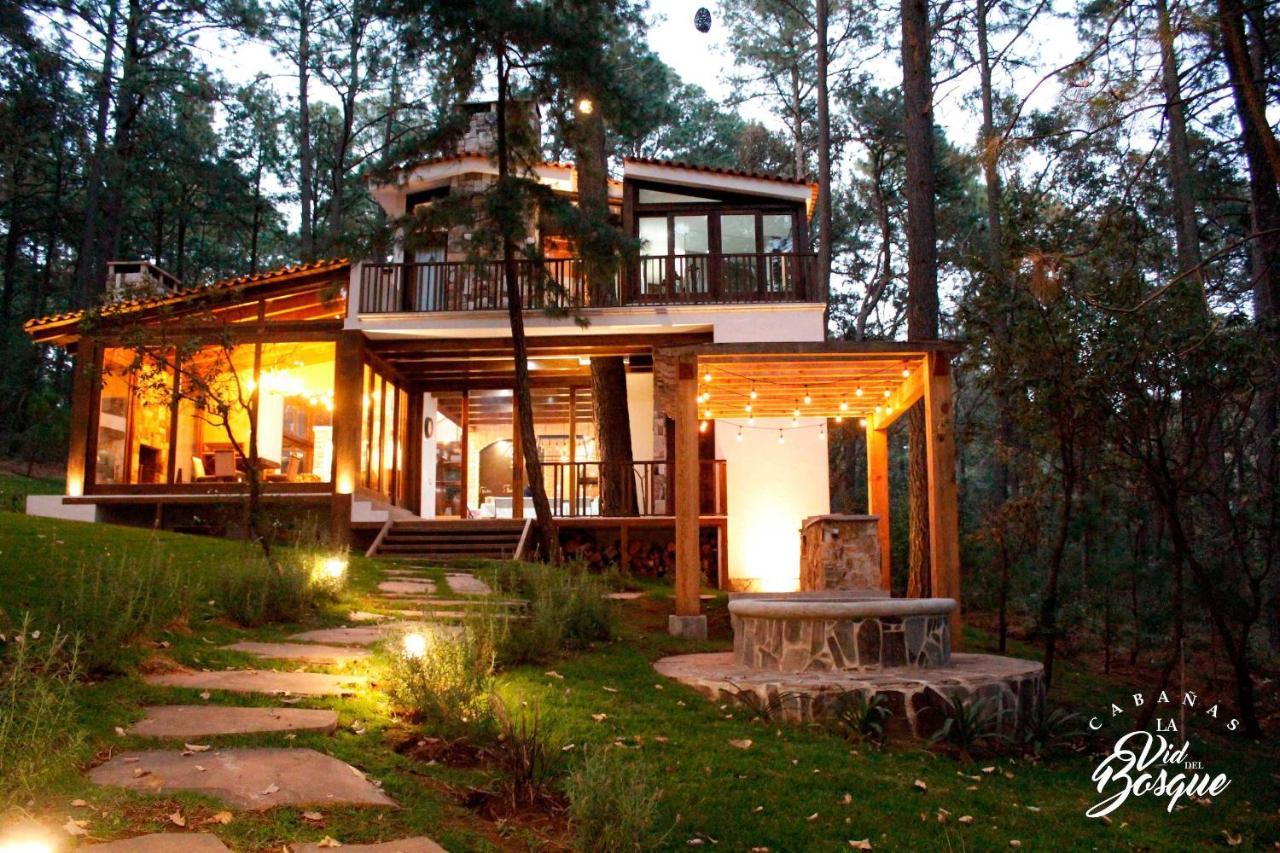 Hotel Cabanas La Vid Del Bosque Tapalpa Exteriér fotografie
