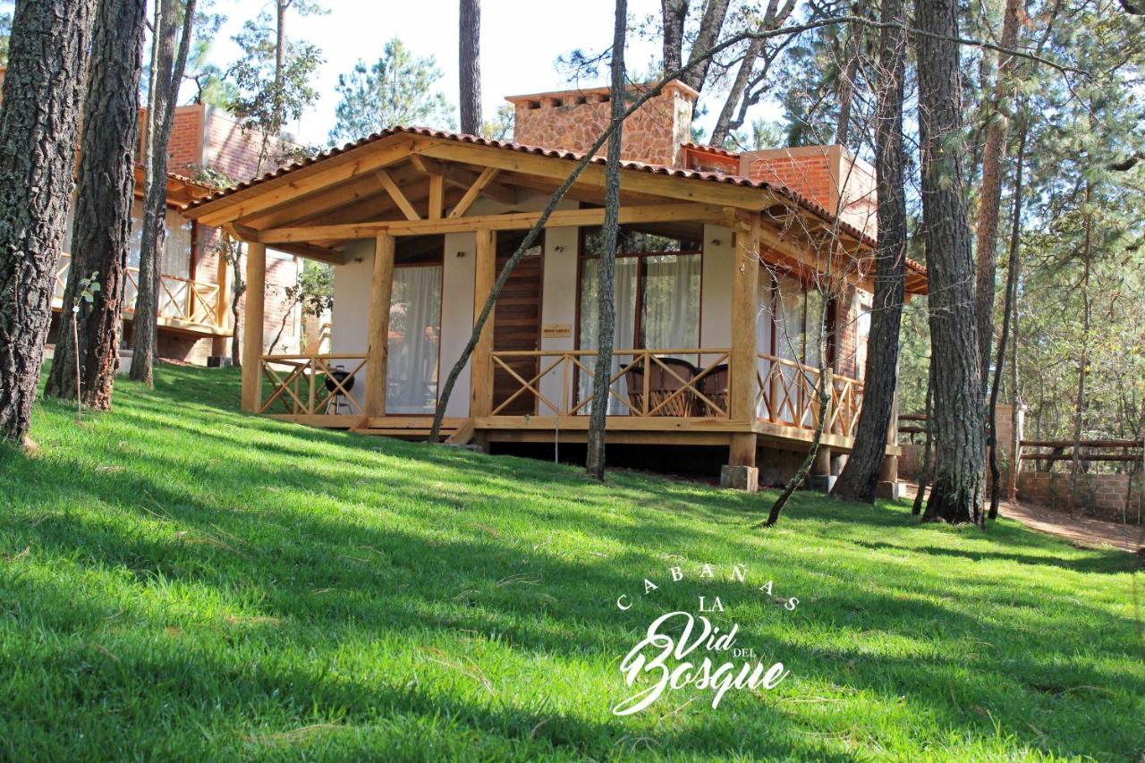 Hotel Cabanas La Vid Del Bosque Tapalpa Exteriér fotografie