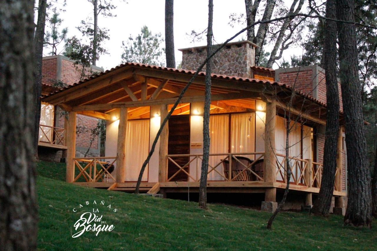 Hotel Cabanas La Vid Del Bosque Tapalpa Exteriér fotografie